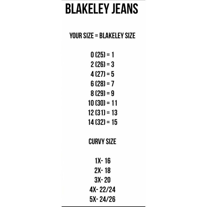 BLAKELEY DISTRESSED JEANS