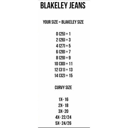 BLAKELEY DISTRESSED JEANS